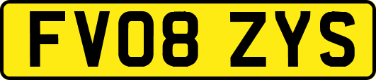 FV08ZYS