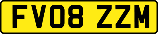 FV08ZZM