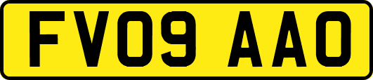 FV09AAO