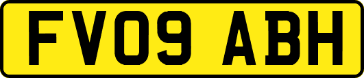 FV09ABH