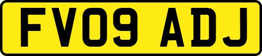 FV09ADJ