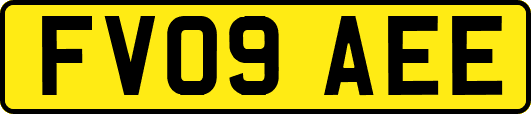 FV09AEE