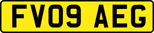 FV09AEG