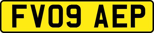 FV09AEP