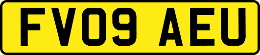 FV09AEU