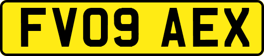 FV09AEX