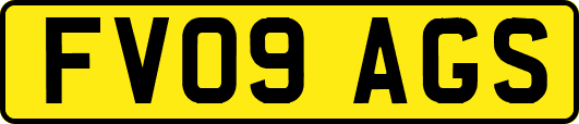 FV09AGS