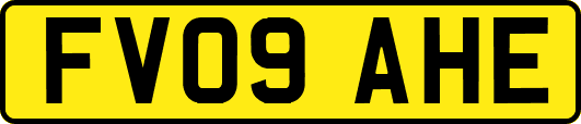 FV09AHE