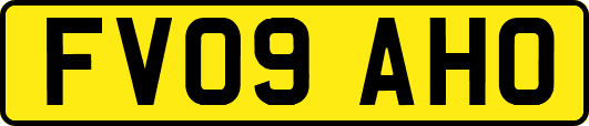FV09AHO