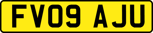 FV09AJU