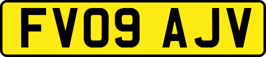 FV09AJV
