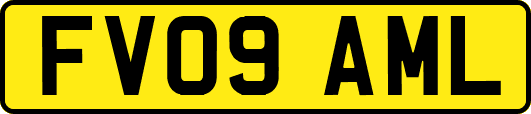 FV09AML