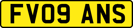 FV09ANS