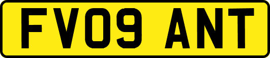 FV09ANT