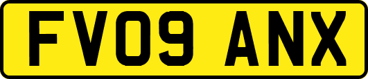 FV09ANX