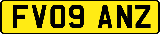 FV09ANZ