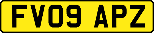 FV09APZ