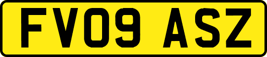 FV09ASZ