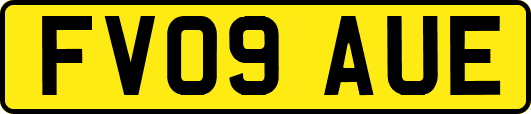 FV09AUE