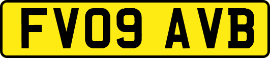 FV09AVB