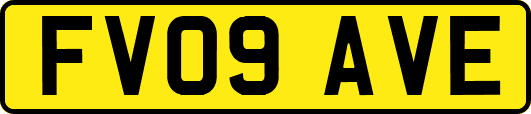 FV09AVE