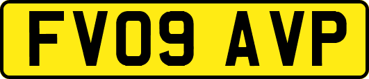 FV09AVP