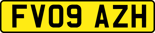 FV09AZH
