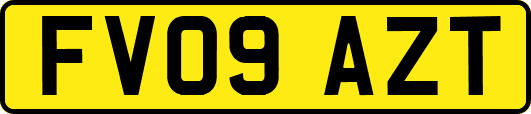 FV09AZT