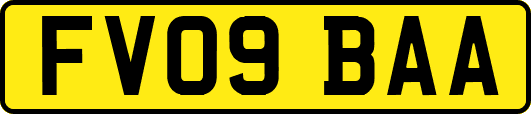 FV09BAA