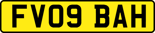 FV09BAH