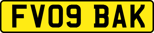 FV09BAK