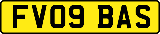 FV09BAS