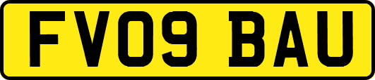 FV09BAU