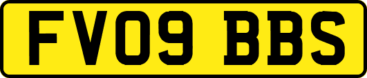 FV09BBS