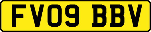 FV09BBV