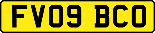 FV09BCO