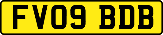 FV09BDB