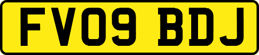 FV09BDJ