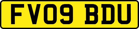 FV09BDU
