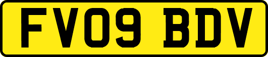 FV09BDV