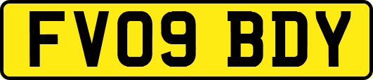 FV09BDY
