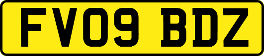FV09BDZ