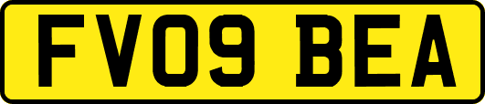 FV09BEA