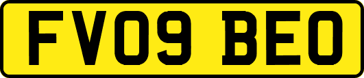 FV09BEO