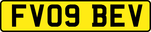 FV09BEV