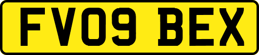 FV09BEX