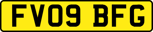 FV09BFG