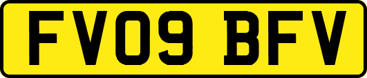 FV09BFV