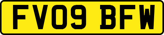 FV09BFW