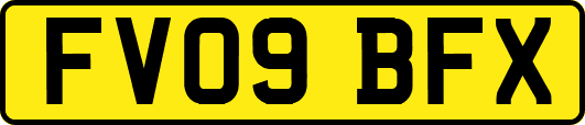 FV09BFX